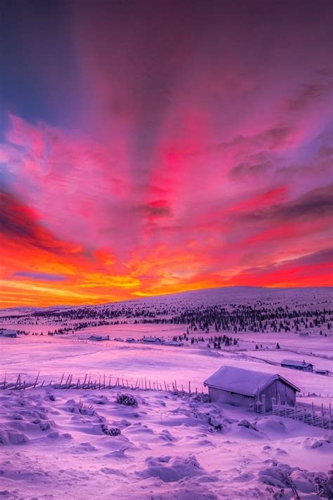 373 Best Sky Lights Images On Pinterest Nature Sunrises