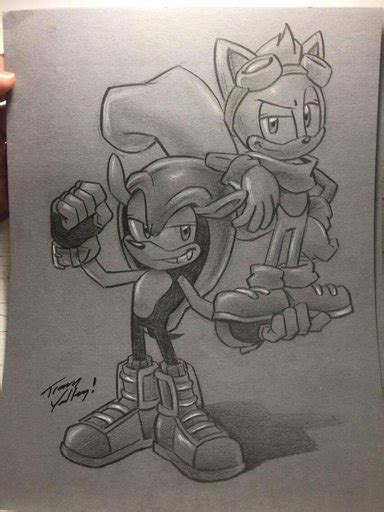 Mighty And Ray By Tracy Yardley Sonic The Hedgehog Amino