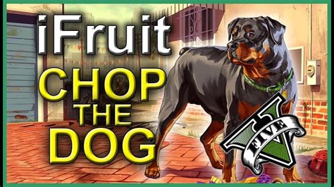 Gtav Mode Solo Ifruit App Chop The Dog Youtube