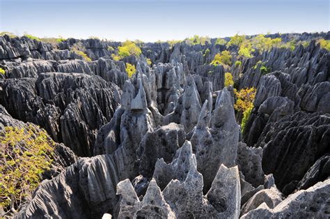 Tsingy De Bemaraha Landscape Karst Limestone Formations Madagascar