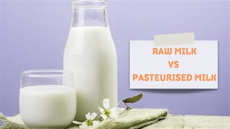 What Is The Difference Between Raw Milk And Pasteurised Milk