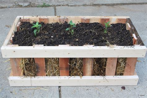 The Straw Bale Pallet Crate Garden Simple Attractive And Cheap