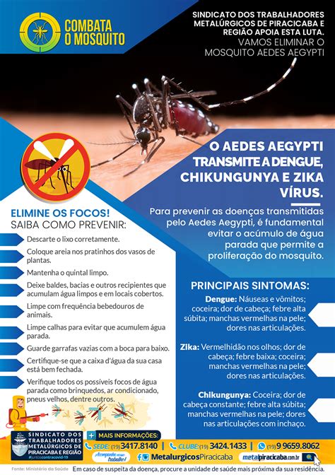 Combate Contra A Dengue Sindicato Dos Metalúrgicos De Piracicaba E Região