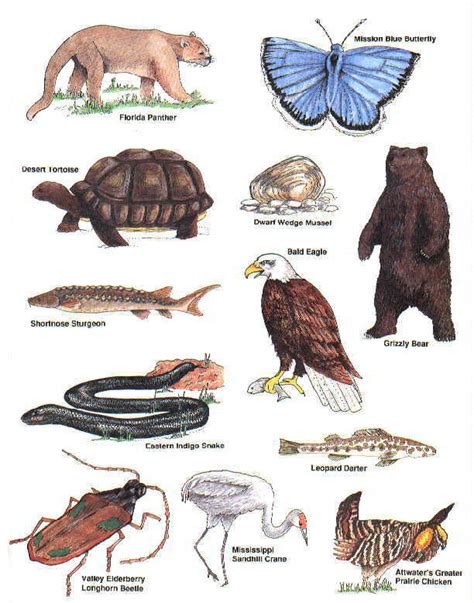 How Many Species Are There How Many Are There