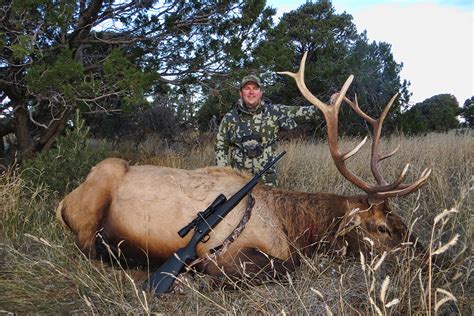 New Mexico Elk Hunt Quality Hunts