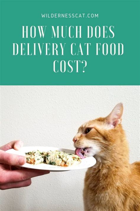 Maybe you would like to learn more about one of these? How Much Does Nom Nom Cat Food Cost? | Cat food, Cat food ...