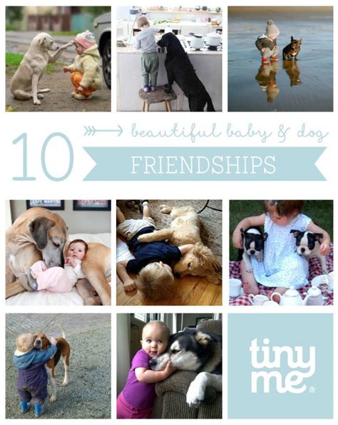 10 Beautiful Baby Dog Friendships Tinyme Blog