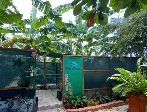 New Worthy Experiences to Try in Aruba | Visit Aruba Blog