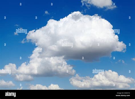 Cumulus Clouds Cumulus Clouds Are The Puffy Clouds That Are Hi Res