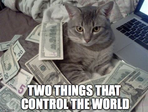 The Best Cat Money Memes For 2019