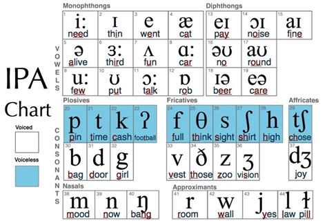 Phonetic Chart Phonetic Chart Phonics Chart English Phonetic Alphabet