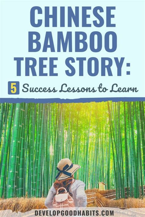 Chinese Bamboo Tree Story 5 Success Lessons To Learn