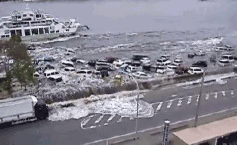 The best gifs are on giphy. GIF earthquake tsunami japan - animated GIF on GIFER - by ...