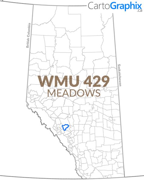 Wmu 429 Meadows 36w X 24h Map Cartographix
