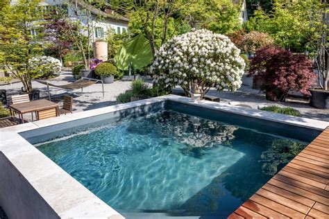 Weitere ideen zu bepflanzung, garten, pflanzen. Pool bepflanzung garten