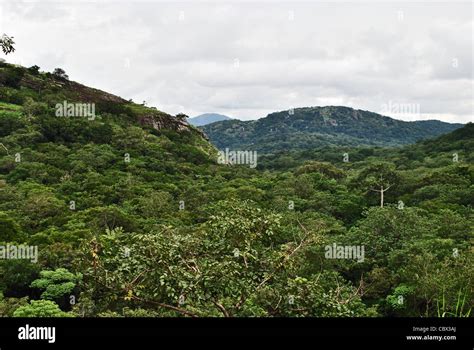 Forests Scenery Near Kabala Sierra Leone Stock Photo Alamy