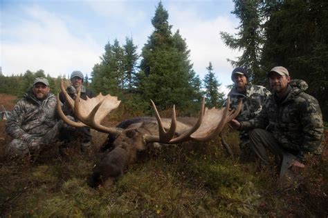 Alaska Moose Hunting Gallery Arctic North Guides