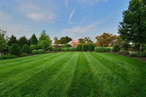 Earthadelic Landscape Renewals | Knoxville Lawn Care | Knoxville Yard ...