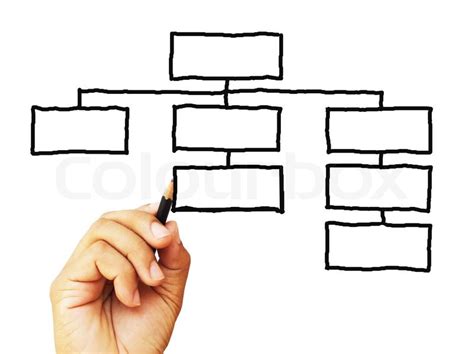 Organization Drawing By Hand Sketching Stock Image Colourbox