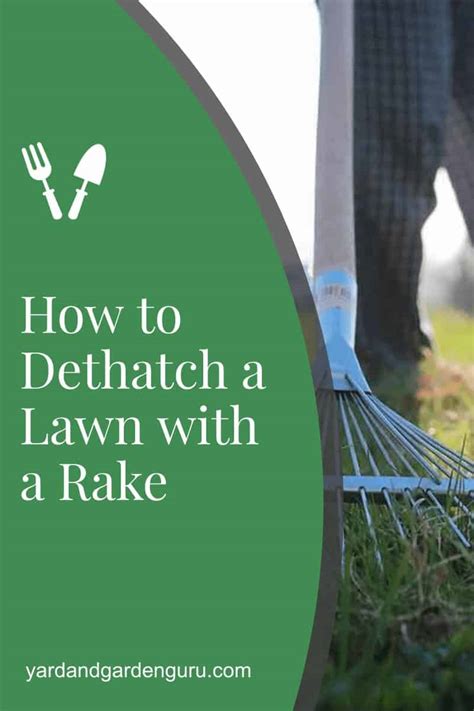 Whether you choose to aerate, dethatch, or both, it's best to do so right before overseeding. How to Dethatch a Lawn with a Rake