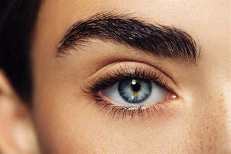 More Bushy Eyebrows With Micrografts