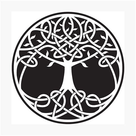 Celtic Tree Of Life Photographic Print By Danchampagne Redbubble