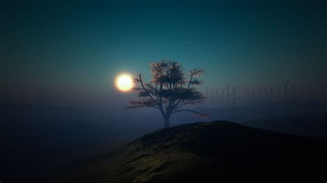 Desktop Wallpaper Tree Sunset Night Lights Hill Hd Image Picture