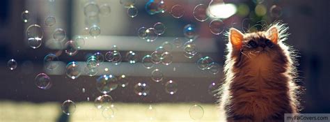 Pets And Animals Facebook Covers Myfbcovers