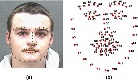 Facial Landmarks Use Cases Datasets And A Quick Tutorial