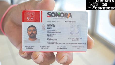 Licencia De Conducir Sonora Octubre Hot Sex Picture