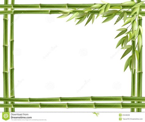 Bamboo Borders And Frames