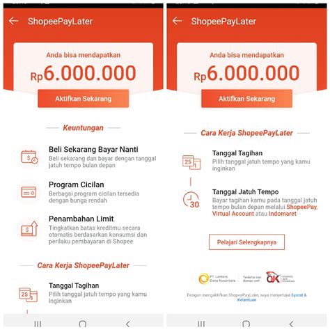 Alasan Lengkap Kenapa Shopee Paylater Tidak Bisa Digunakan Ginee