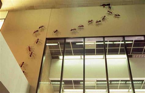 Farewell Beautiful Bizarre Atlanta Airport Ceiling Ants Atlanta