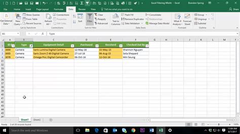 Using Filters In Microsoft Excel Riset