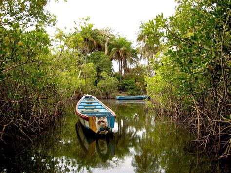 La Mangrove De Casamance Sénégal Sénégal Casamance Paysage Ville