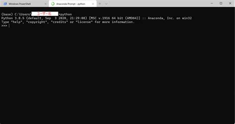 Windows Terminal に Anaconda Promptを入れる すしりんぐblog