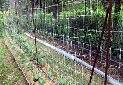 This net is heavy duty and is subsequently well able to stand the years of use and applications. Plastic Trellis Netting For Climbing Vegetables and Plant ...