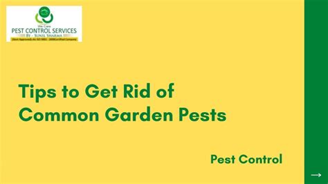 Ppt Tips To Get Rid Of Common Garden Pests Powerpoint Presentation