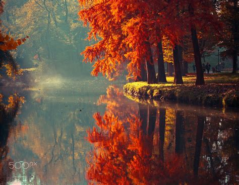 Magic Autumn Pinterest