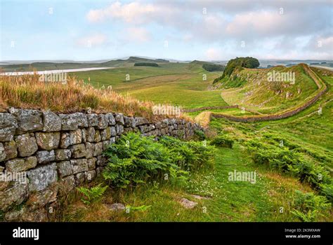 Hadrians Wall At Dusk North Cumbria North England Stock Photo Alamy