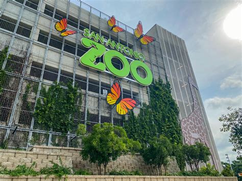 Abre El Nuevo Estacionamiento Del Zoológico De San Antonio Inspirado En