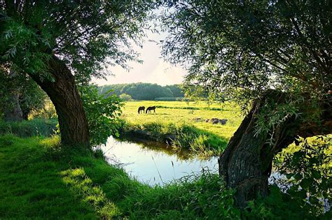Homes are typically worth $117/sqft. Bloemendal | Gemeente Barneveld