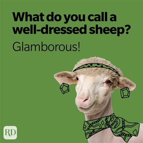 36 Sheep Puns You Havent Herd Before Readers Digest