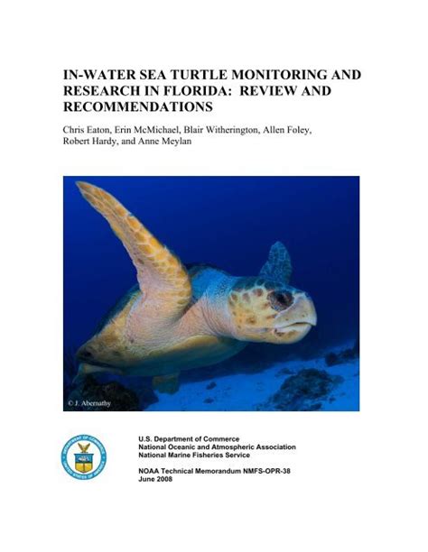 In Water Sea Turtle Monitoring And Research In Florida Fish And