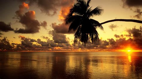 Sunrise Beach Wallpaper 54 Images