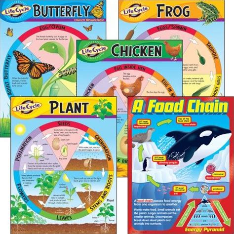 Trend Kid Learning Chart Classroom Learning Aids At