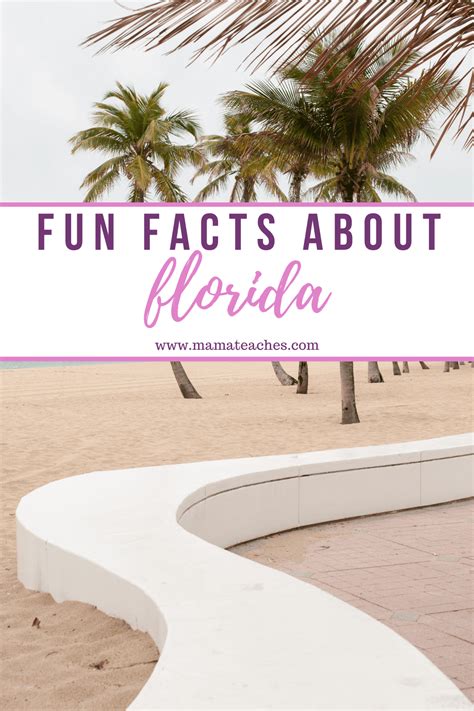 Fun Facts About Florida State Facts For Kids Mama Teaches