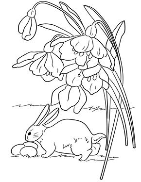 Ausmalbilder osterhase pdf oster bilder zum ausmalen 871 malvorlage ostern. Ausmalbilder Ostern | Ausmalbild Osterhase findet Eier zum ...