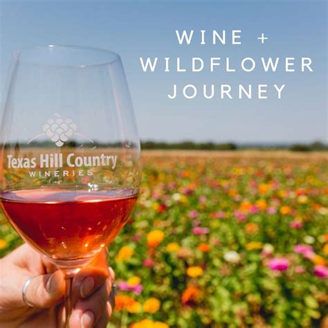 Sip Your Way Through 44 Different Hill Country Wineries During The Wine