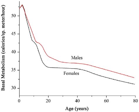Normal Basal Metabolic Rates At Different Ages For Each Sex [12] Download Scientific Diagram